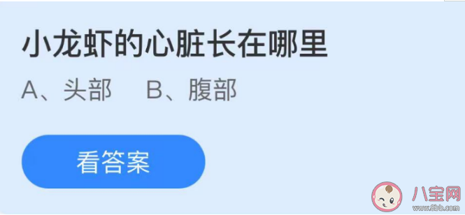 小龙虾的心脏长在哪里 蚂蚁庄园12月4日答案