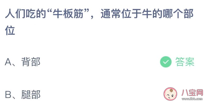 人们吃的牛板筋位于牛的哪个部位 ​蚂蚁庄园12月5日答案介绍