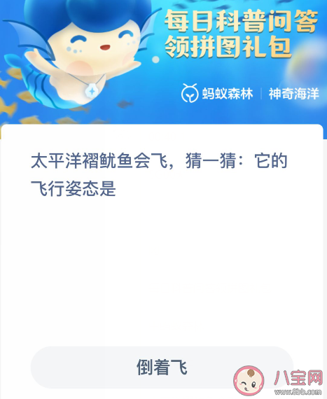 太平洋褶鱿鱼会飞它的飞行姿态是怎样的 蚂蚁森林神奇海洋12月16日答案