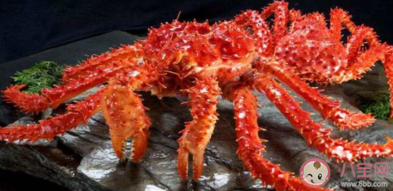猜一猜帝王蟹通常用几条腿行走 神奇海洋12月19日答案
