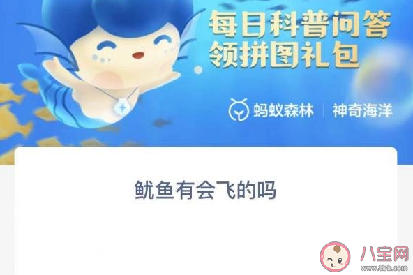 鱿鱼有会飞的吗 神奇海洋12月22日答案