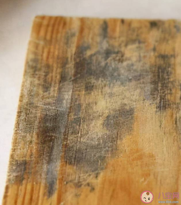 菜板发霉怎么办 如何清洁砧板霉菌