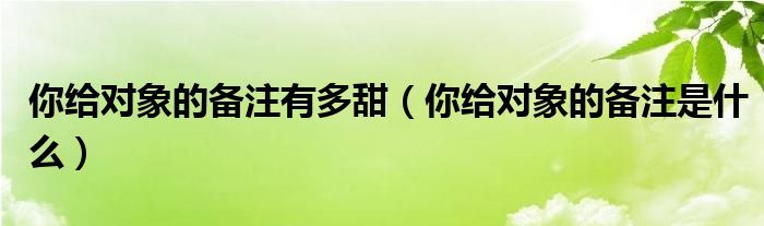 你给对象的备注有多甜（你给对象的备注是什么）