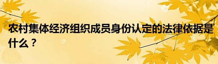 农村集体经济组织成员身份认定的法律依据是什么？