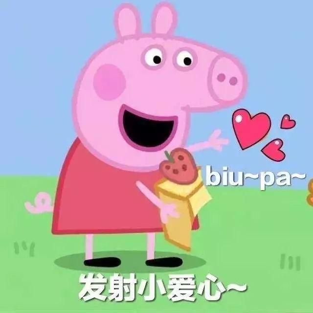 盘点佩奇搞笑配音（趣闻吹风机佩奇）(48)