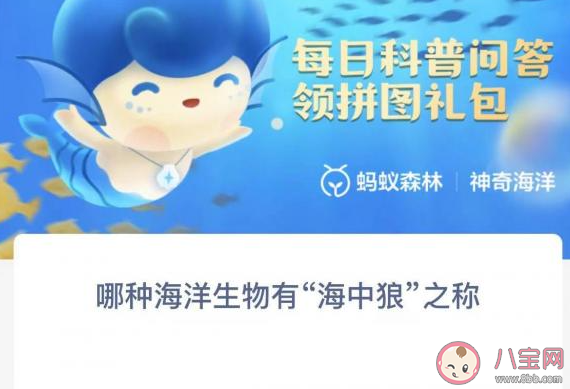 哪种海洋生物有海中狼之称 神奇海洋1月4日答案