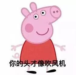 盘点佩奇搞笑配音（趣闻吹风机佩奇）(40)