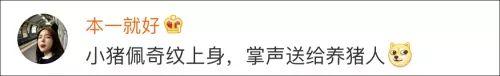 盘点佩奇搞笑配音（趣闻吹风机佩奇）(39)
