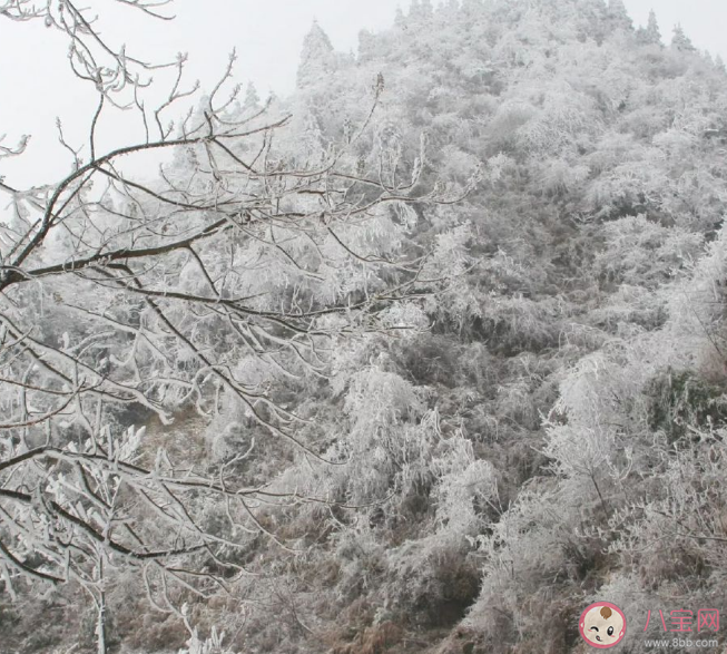 今年首场寒潮最强雨雪下在哪 2023首个寒潮影响有多大