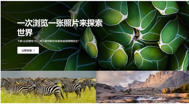 超级实用的壁纸软件（分享精美简单不占内存好用的官方壁纸软件）