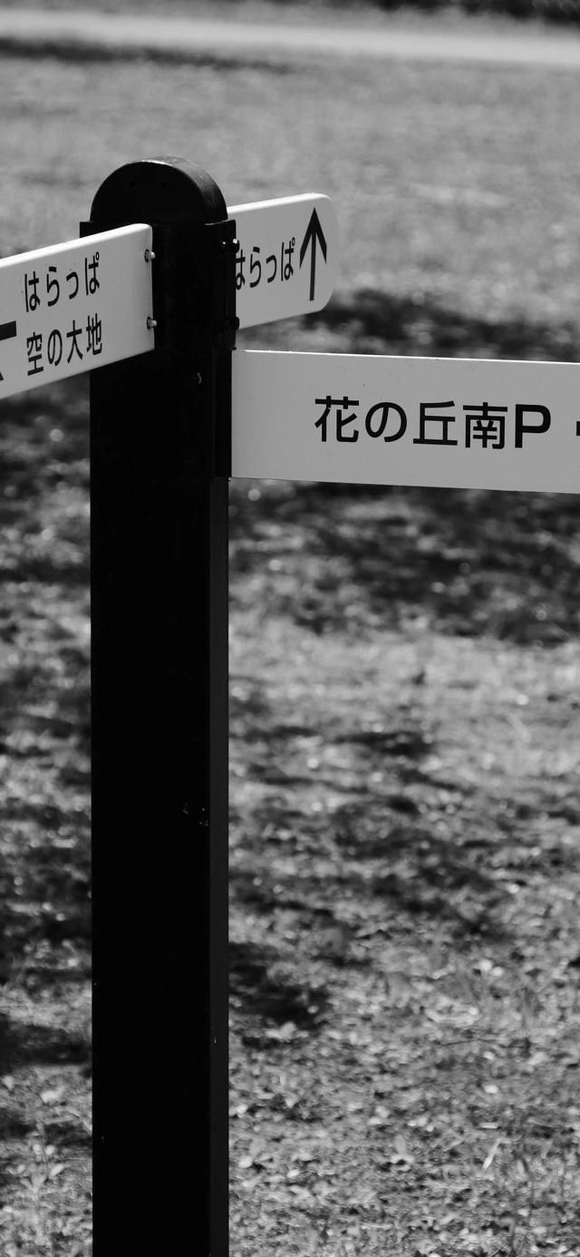 手机壁纸高清道路和远方（手机壁纸清新简约路标）(34)