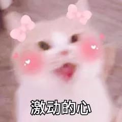 怀念青春的分享（互动话题看完这个）(4)