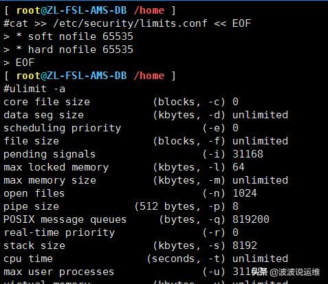 linux系统分区方法（Linux标准化设置-系统环境标准化）(4)