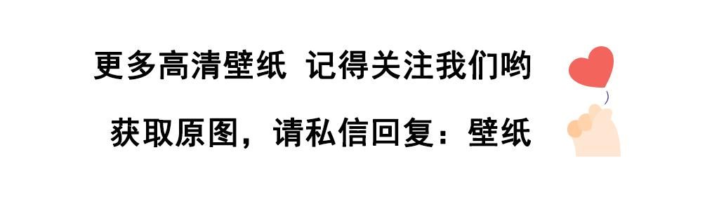 ipad小清新壁纸高清（小清新ipad电脑壁纸来啦）(12)