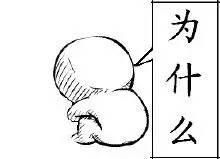 苹果手机有电自动关机是怎么回事（苹果手机有电还敢自动关机）(3)