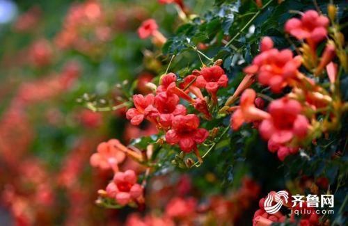 浙江教育考试官网学考成绩查询（学考成绩查询时间入口）(2)