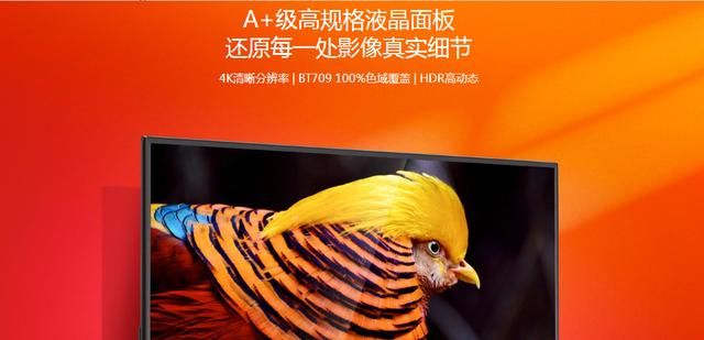 明星同款产品推荐（居然娱乐圈都在用的科技潮品）(4)
