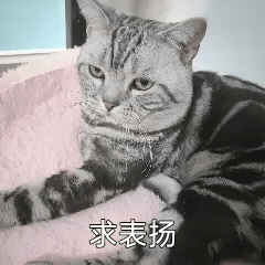 adobe全家桶各软件功能（设计的同学们看过来）(8)