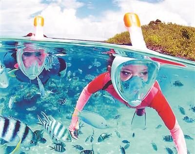 海底世界玻璃隧道在哪（夏天畅行海底世界）(1)