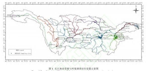 长江一年多少鱼（长江现在还有多少鱼）(2)