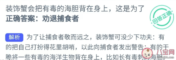 江西省九江的艺术培训班电话号码汇总
