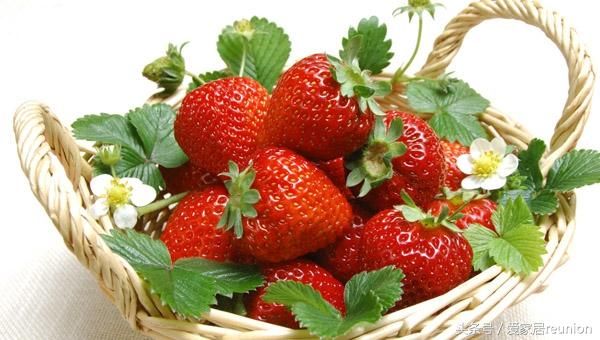 富含花青素的食物与<font color='red'>水果</font>（适合当代电脑手机族护眼的花青素食疗食物）