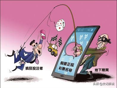 制作网站公司多年实战经验（2013年傻小子自学软件）(13)