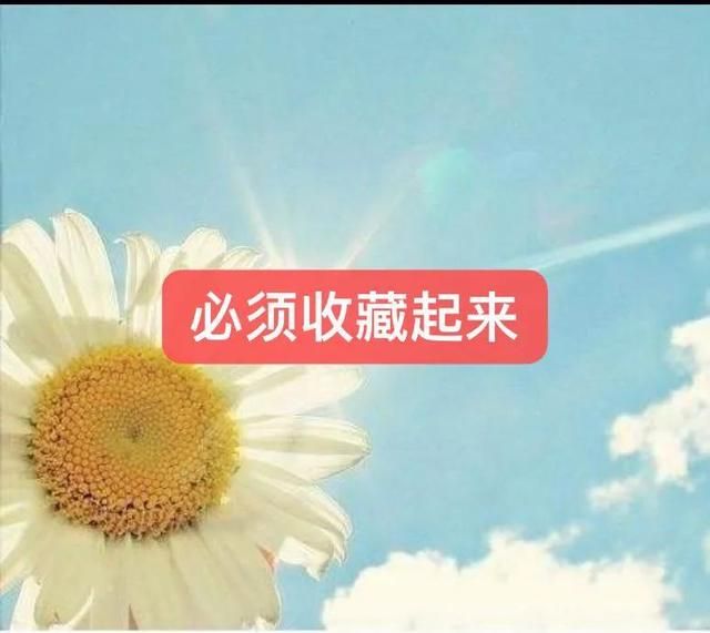 会计常用的十大网站（会计最常用的网址和系统）