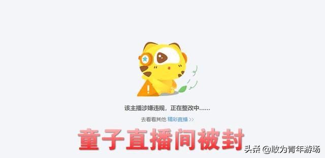 虎牙童子国服赵云介绍（因粉丝一个一个）(3)