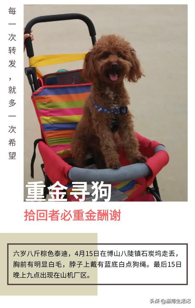 淄博市漏水探测（淄博一小区惊现）(2)