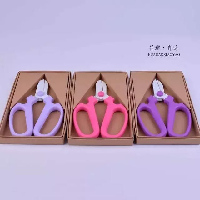 花艺基础知识讲解入门（花艺师必备实用花艺工具指南）(4)