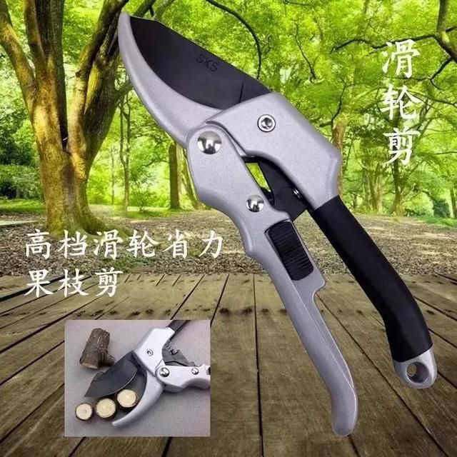 花艺基础知识讲解入门（花艺师必备实用花艺工具指南）(11)