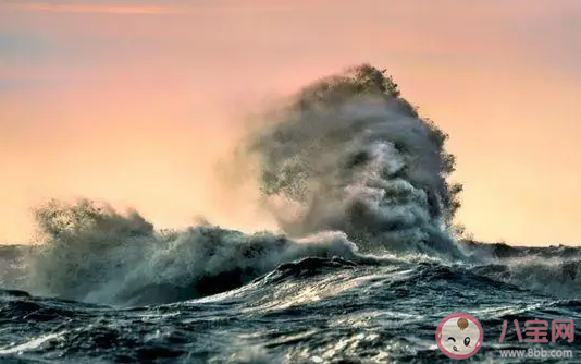 神奇海洋2月3日答案：海洋中的疯狗浪具有以下哪种典型特征 