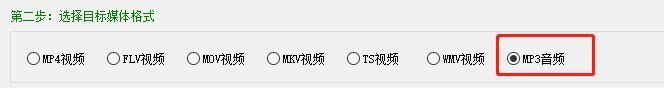 怎样将的格式转换成mp3（格式批量转为MP3格式）(6)