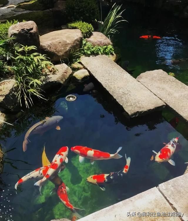 过滤滤材越多越好吗（滤材选不对努力都白费）(9)