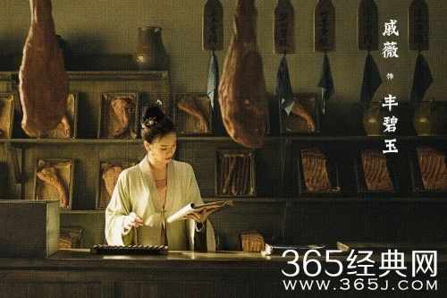 《显微镜下的大明》历史背景