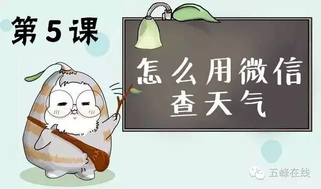 微信天气预报在哪里查看（怎么用微信查天气预报）(3)