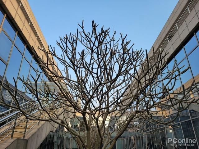 曲屏加刘海屏的手机（曲屏手机用腻了）(16)