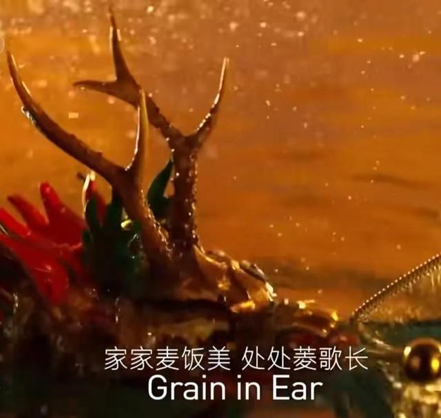 冬奥会开幕式文字描写（北京冬奥会开幕式倒计时用到了哪些文言语句）(9)