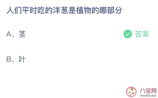 蚂蚁庄园人们平时吃的洋葱是植物的哪部分 2月11日答案最新