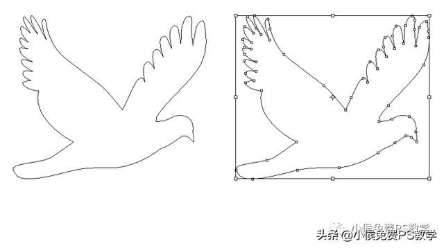 ps初学者怎么练钢笔工具（PS入门到精通系列教程第1篇）(33)