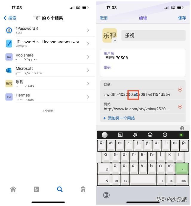 简单密码管理器（最佳密码管理器大版本更新）(12)