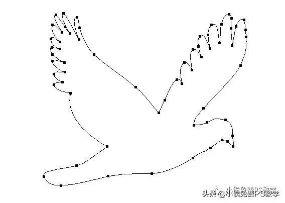 ps初学者怎么练钢笔工具（PS入门到精通系列教程第1篇）(31)