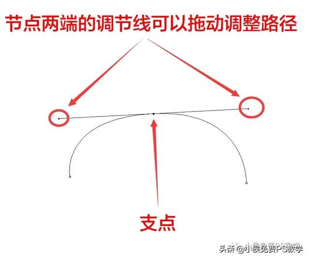 ps初学者怎么练钢笔工具（PS入门到精通系列教程第1篇）(11)