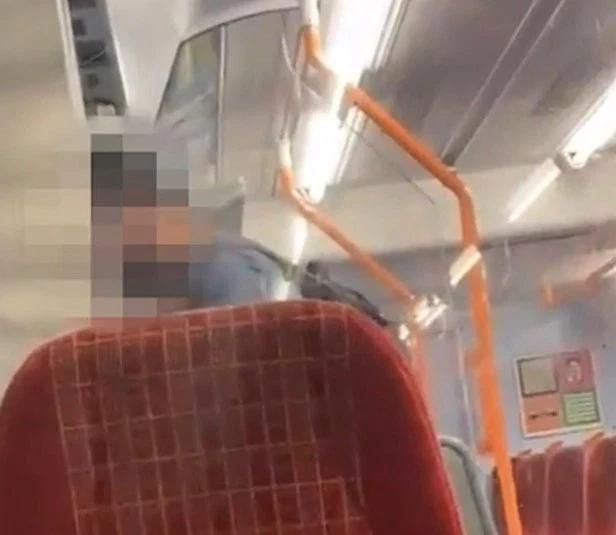 英国人外貌（英国黑人女子容貌俏丽）(3)