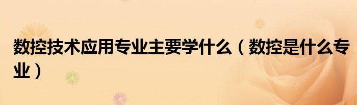数控技术应用专业主要学什么（数控是什么专业）