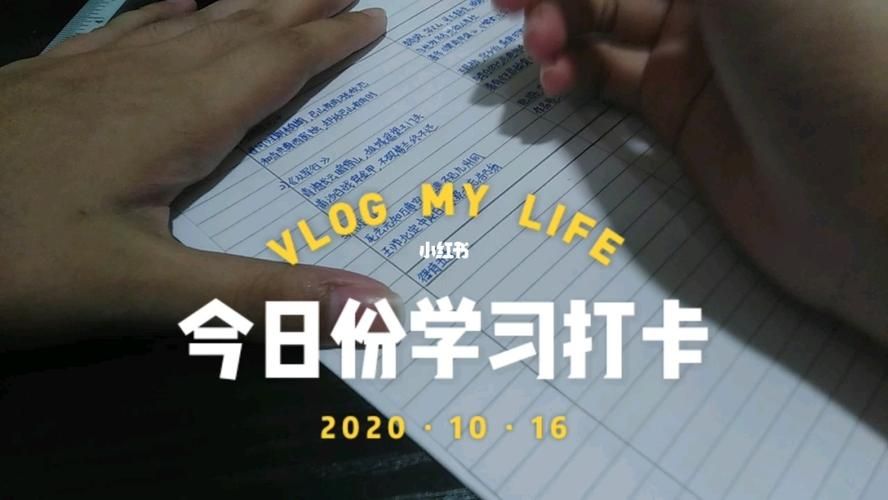 vlog打卡的软件（微录主vlogger）