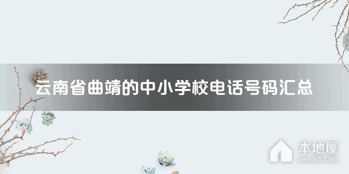 云南省曲靖的中小学校电话号码汇总