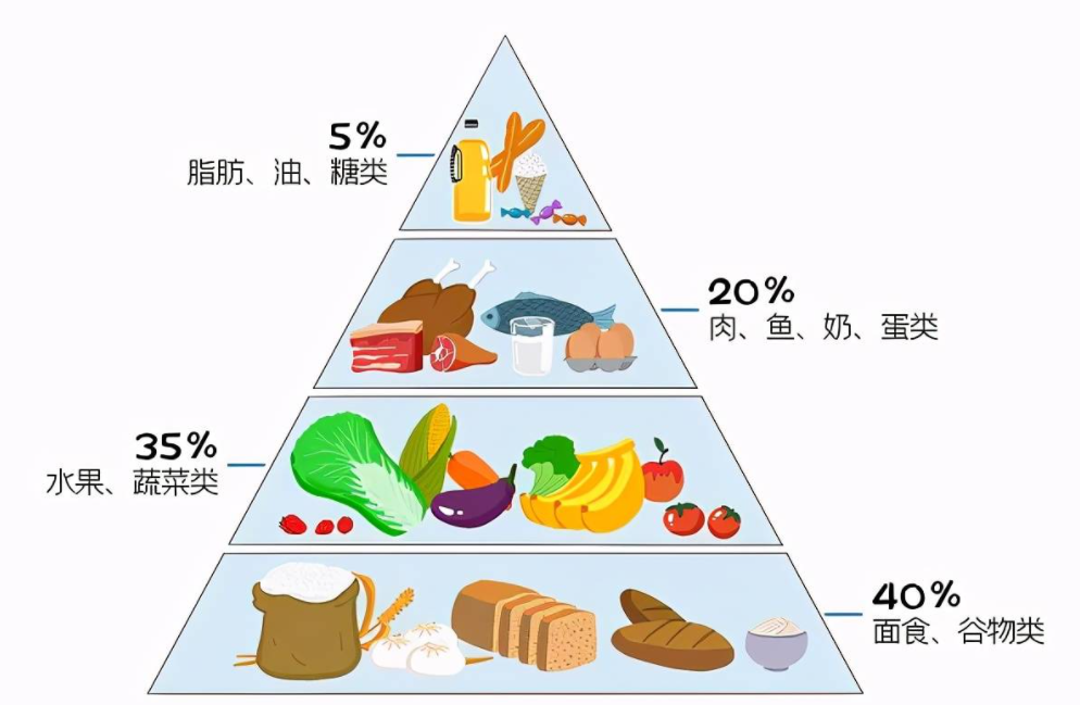 中国人均肉类消费远超膳食标准是怎么回事 为什么中国人爱吃肉