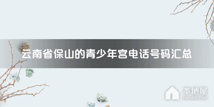 云南省保山的青少年宫电话号码汇总